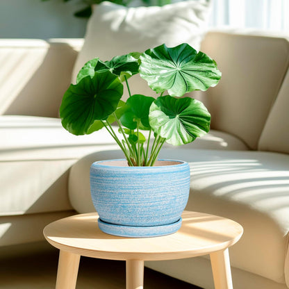 SQOWL Ceramic Planter - 8 inch Pot for Plants Indoor Outdoor, Modern Ceramic Flower Pot with