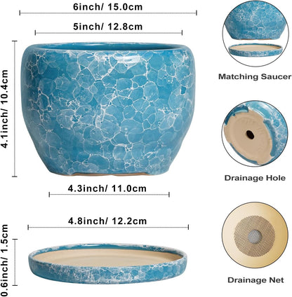 SQOWL 6 Inch Plant Pot - Ceramic Indoor Planter with Drainage Hole and Saucer, Decorative Ceramic