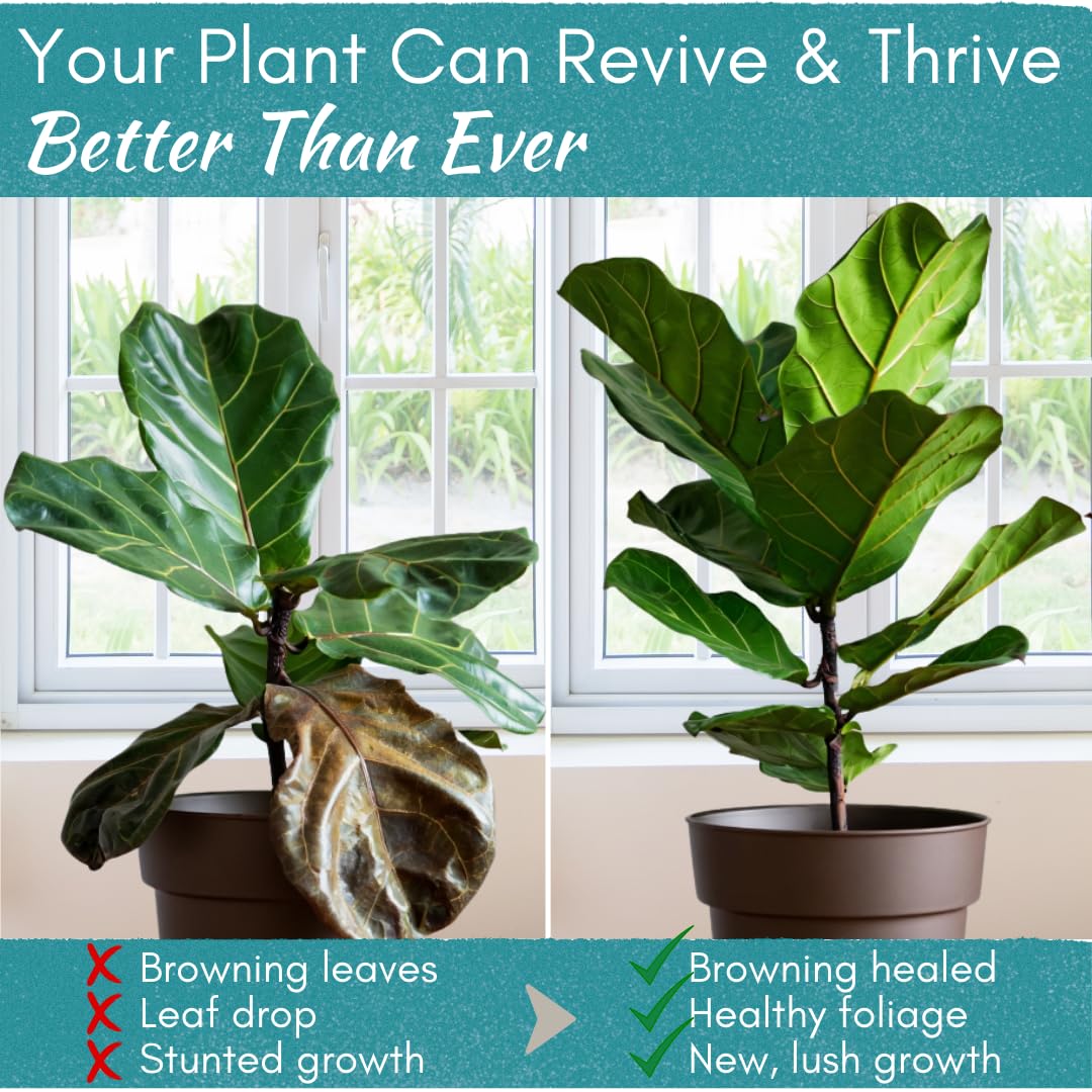 Root Rot Repair for Houseplants – Recovery Drops Root Supplement for Overwatering or Shock | Heals
