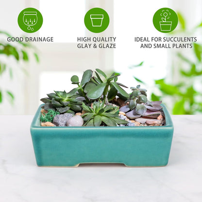 Set of 2 Zisha White Clay Bonsai Pot Glazed Shallow Succulent Planter Blue