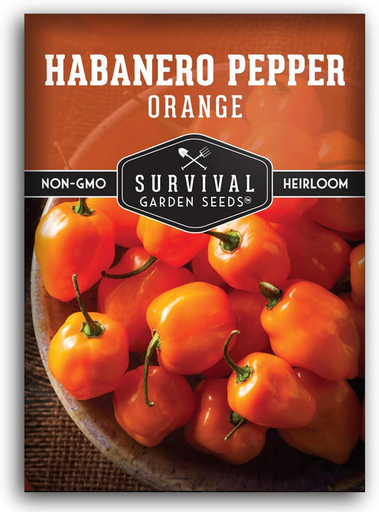 Orange Habanero Pepper Seeds for Planting | Extremely Hot Fruity Chili for Planting | Heirloom