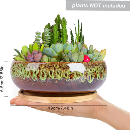 ARTKETTY Succulent Pots - 7.5 Inch Large Plant Pot with Bamboo Tray, Shallow Bonsai Pots with