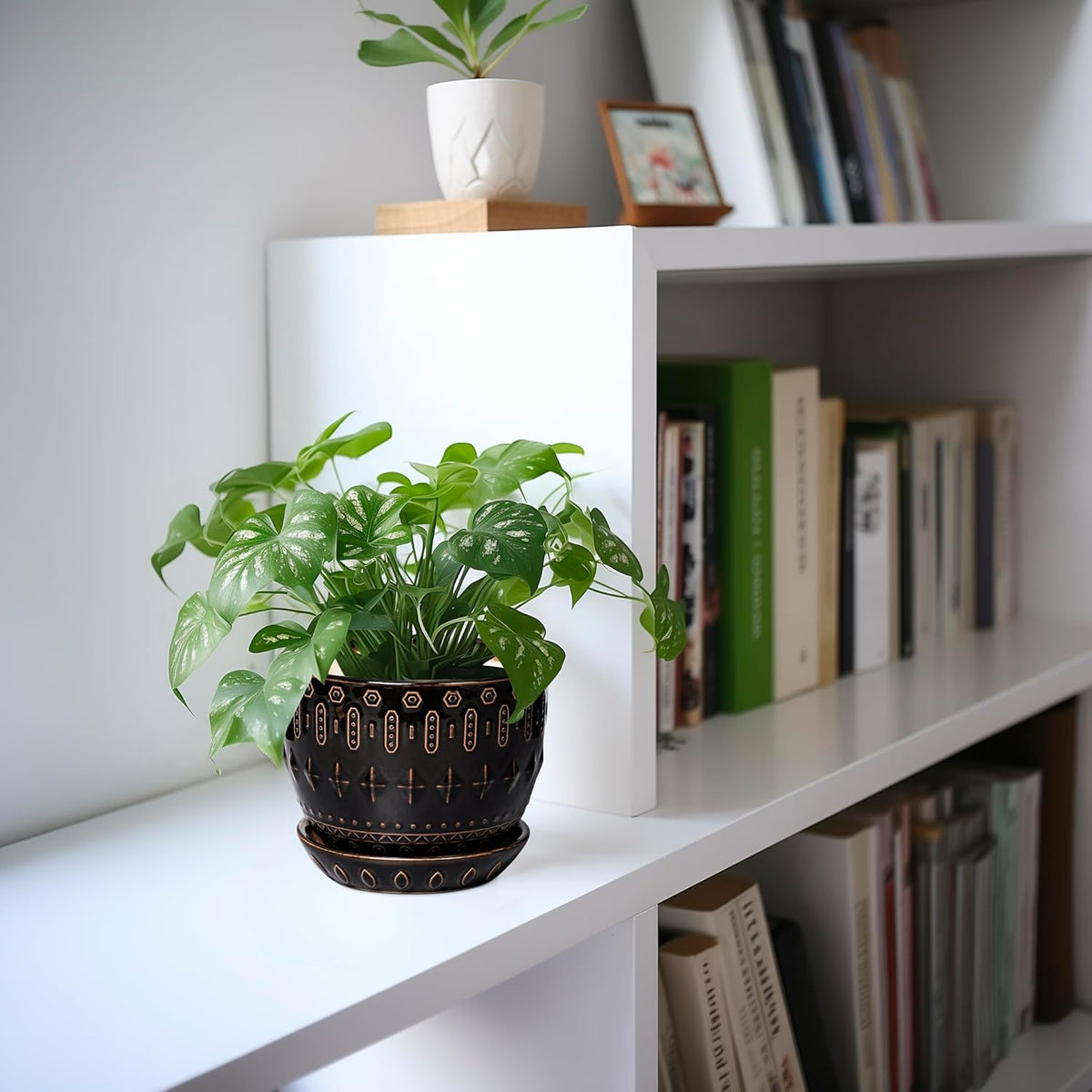 G EPGardening Ceramic Pot for Plants 5.5 Inch - Ceramic Plant Pot Indoor with Drainage Hole and