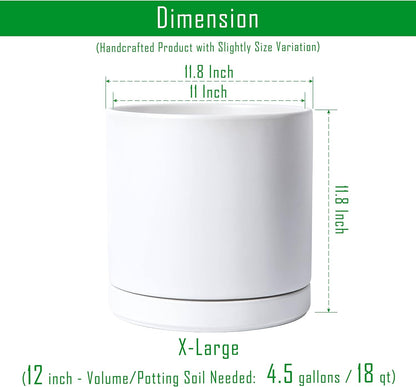 D'vine Dev 12 Inch Ceramic Planter Pot with Drainage Hole and Saucer, Indoor Cylinder Round Planter