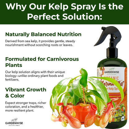 100% Organic Marina Mist Carnivorous Plant Food | Liquid Kelp Foliar Spray for Plants - Kelp