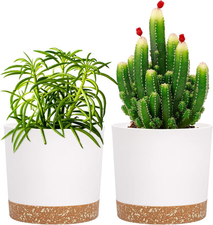 QCQHDU 5 inch Plant Pot, 2 Pack Planters for Indoor Plants with Drainage Holes & Saucer, Outdoor