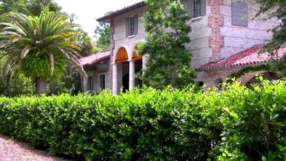 Ligustrum Waxleaf Privet - 20 Live Plants - Evergreen Privacy Hedge
