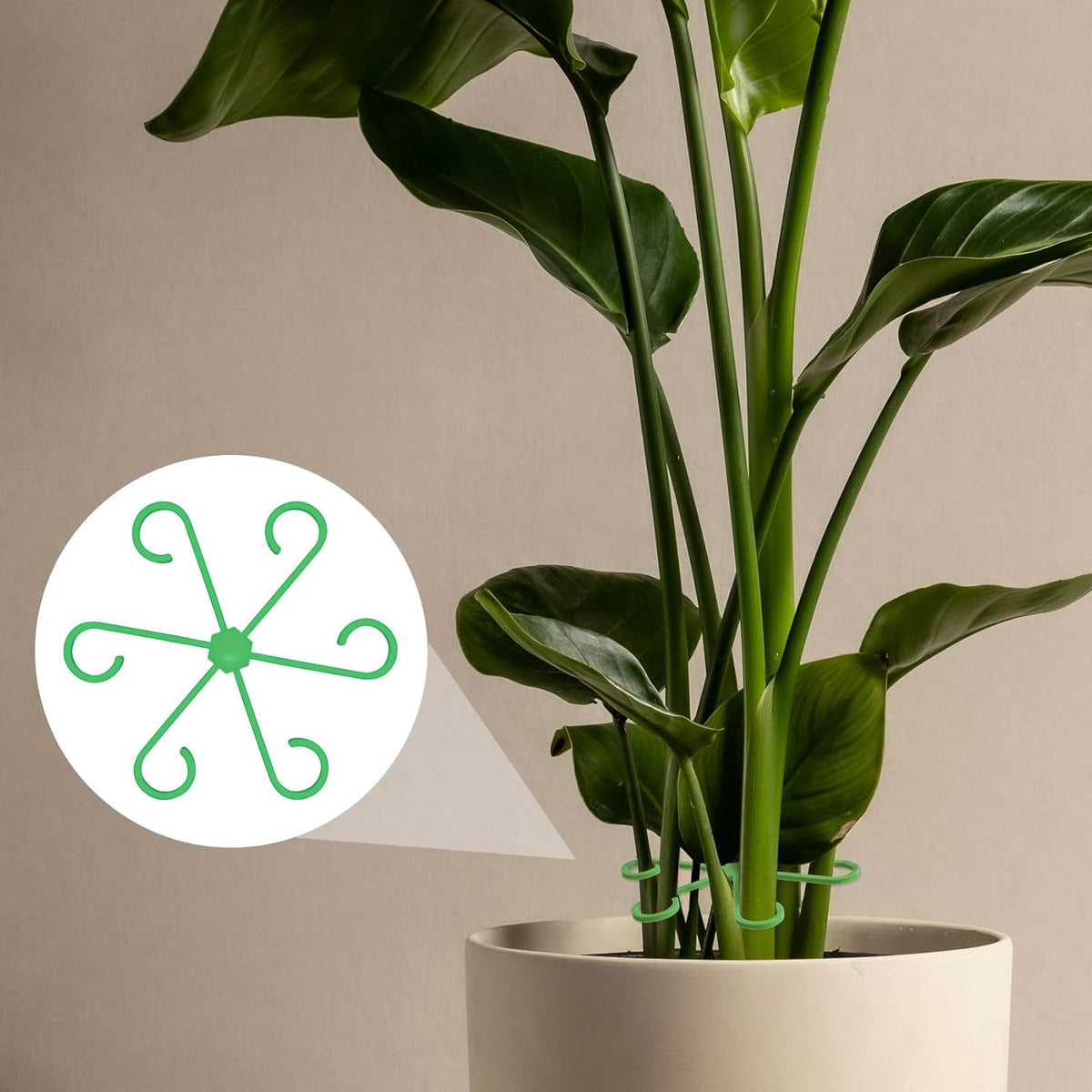 8PCS Plant Stem Support, 4 Sizes Climbing Houseplant Stem Holders, Plastic Reusable Flower Trellis