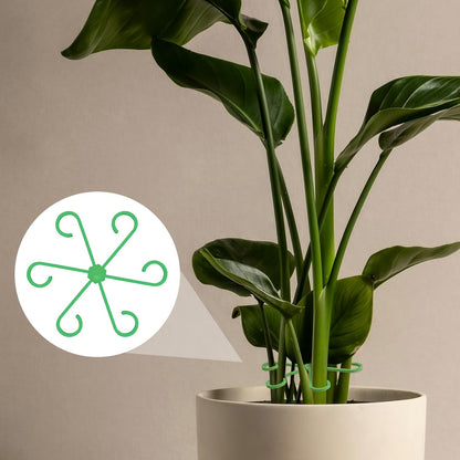 8PCS Plant Stem Support, 4 Sizes Climbing Houseplant Stem Holders, Plastic Reusable Flower Trellis