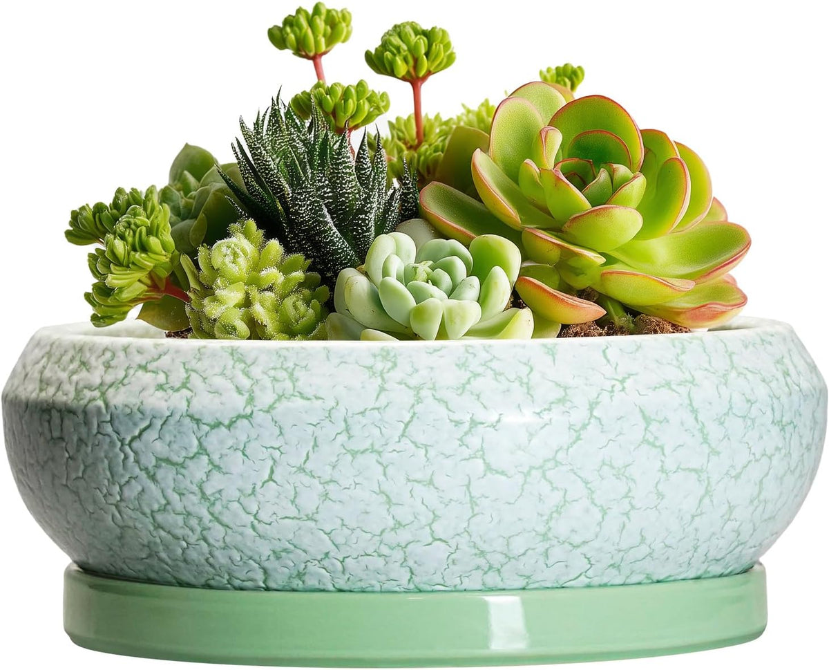 Succulent Pot 6 Inch - Ceramic Bonsai Pots Indoor Outdoor, Shallow Plant Pots with Drainage Hole