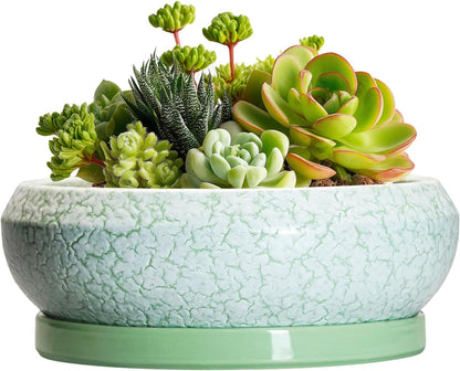Succulent Pot 6 Inch - Ceramic Bonsai Pots Indoor Outdoor, Shallow Plant Pots with Drainage Hole