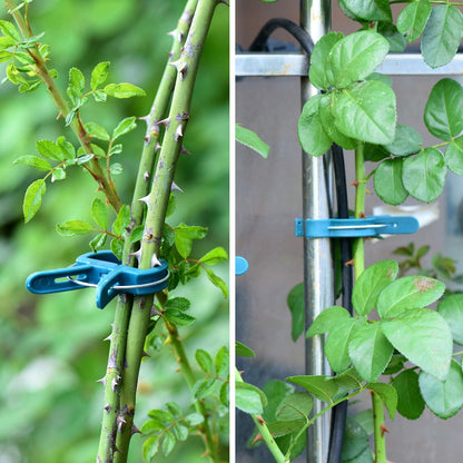 60PCS Plant Clips 2 Sizes Adjusting Reusable Garden Plant Supports Clips for Supporting Stems of
