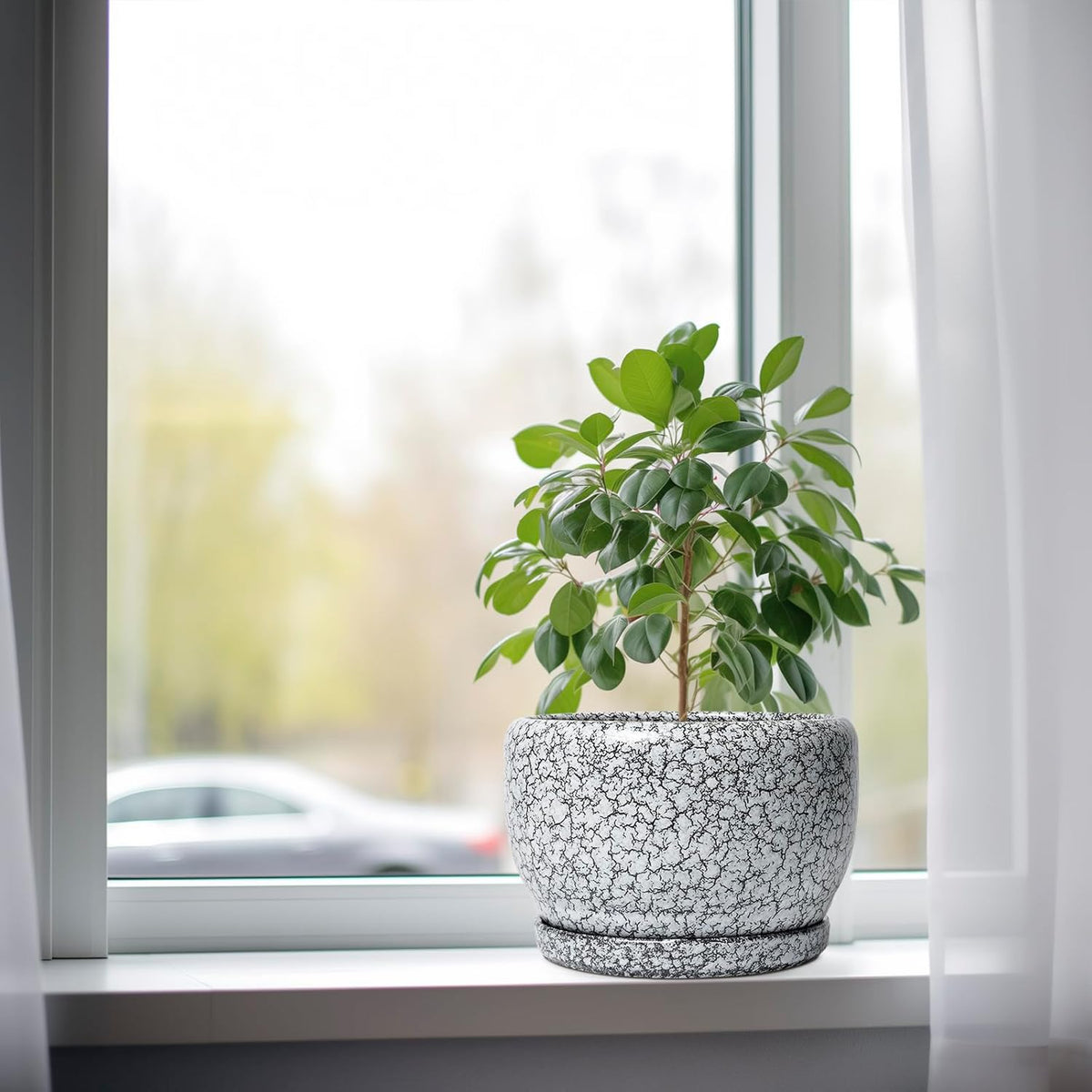 SQOWL 8 inch Plant Pot - Ceramic Planter with Drainage Hole and Saucer, Round Flower Pot for Indoor