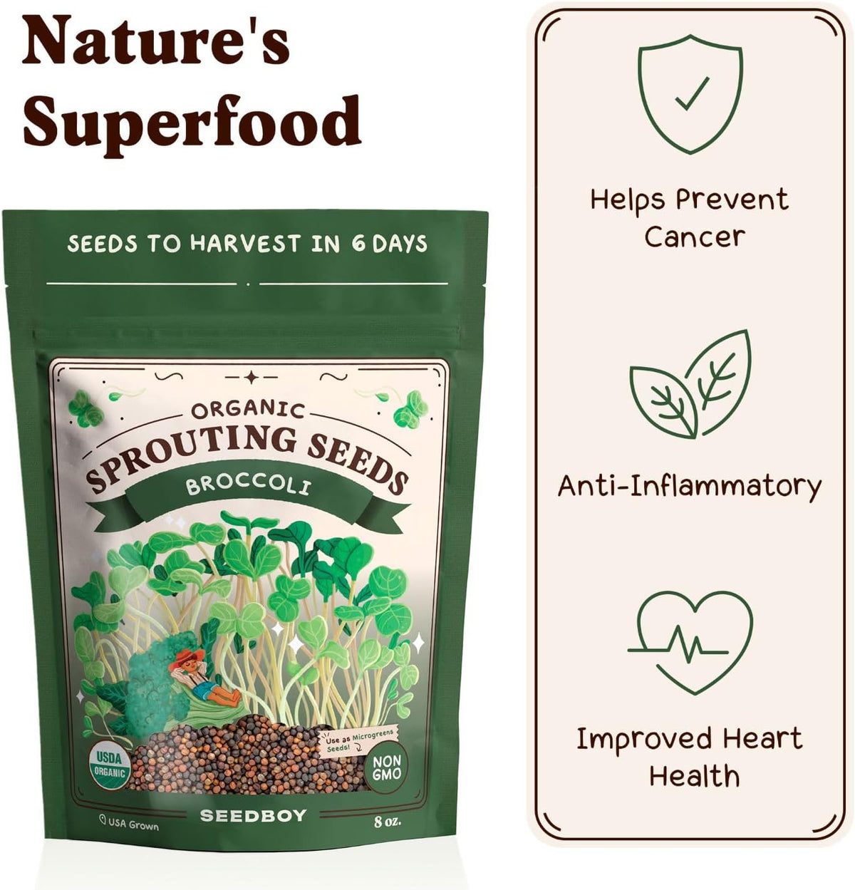 Seedboy Organic Non-GMO Broccoli Seeds for Sprouting - USA Grown Microgreens Sprouting Seeds - 8 oz