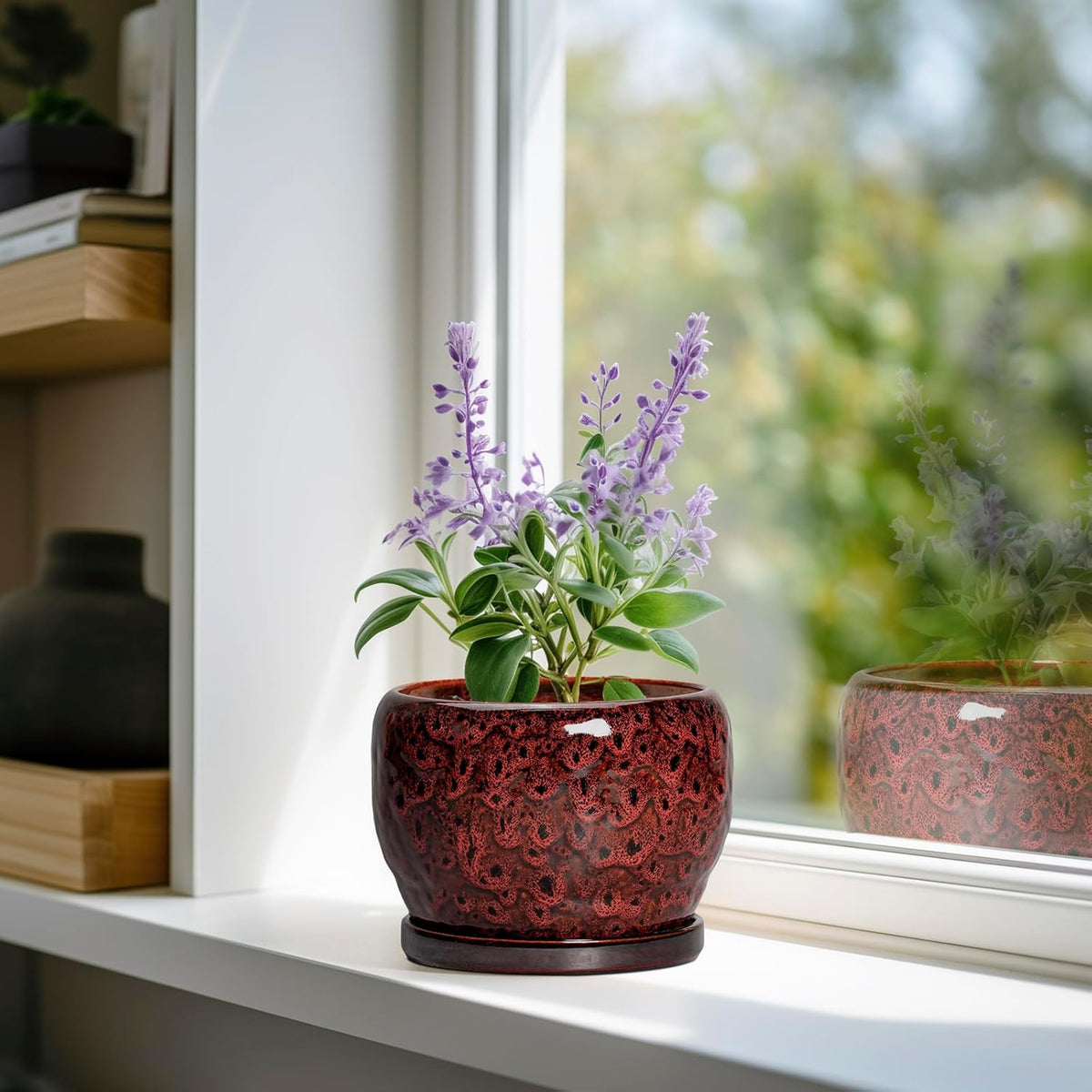SQOWL Ceramic Pot for Plants - 6 Inch Plant Pot Indoor with Drainage Hole and Saucer, Decorative