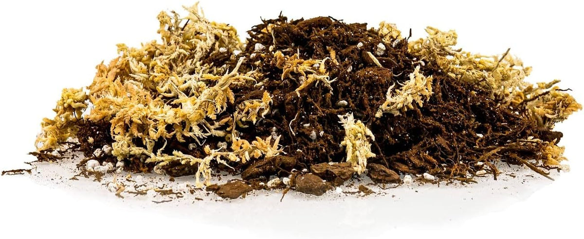 Gardenera Premium Orchid Mix by GARDENERA | Fern + New Zealand Pine Bark + Sphagnum Moss + Perlite