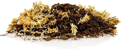 Gardenera Premium Orchid Mix by GARDENERA | Fern + New Zealand Pine Bark + Sphagnum Moss + Perlite