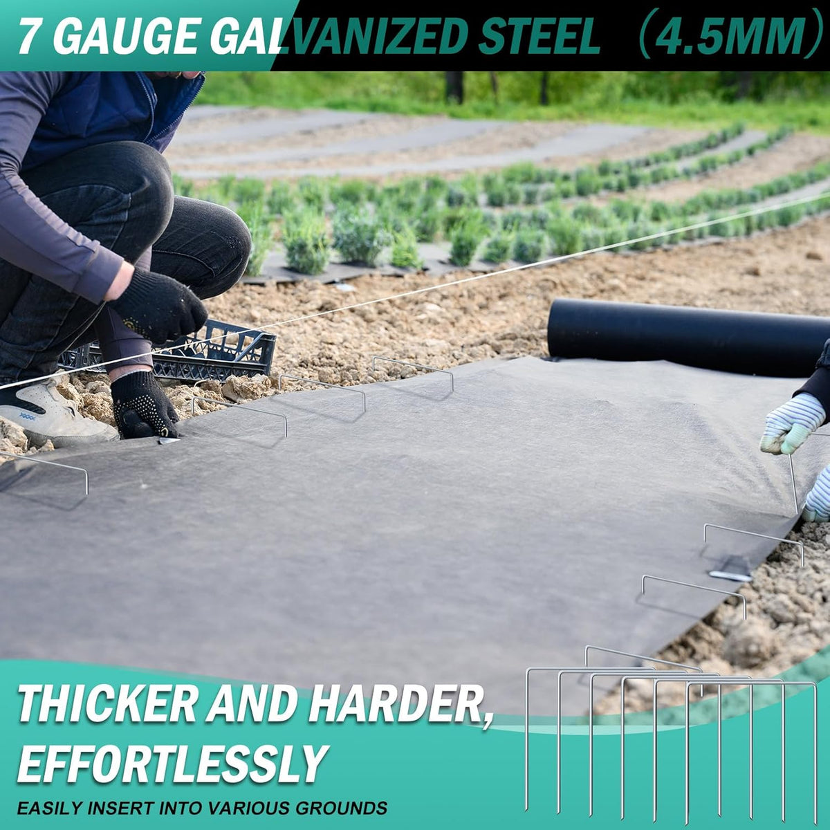 50 Pack Heavy Duty Wide Landscape Staples, 7 Gauge Galvanized Steel Turf Stakes Garden Stakes Bulk