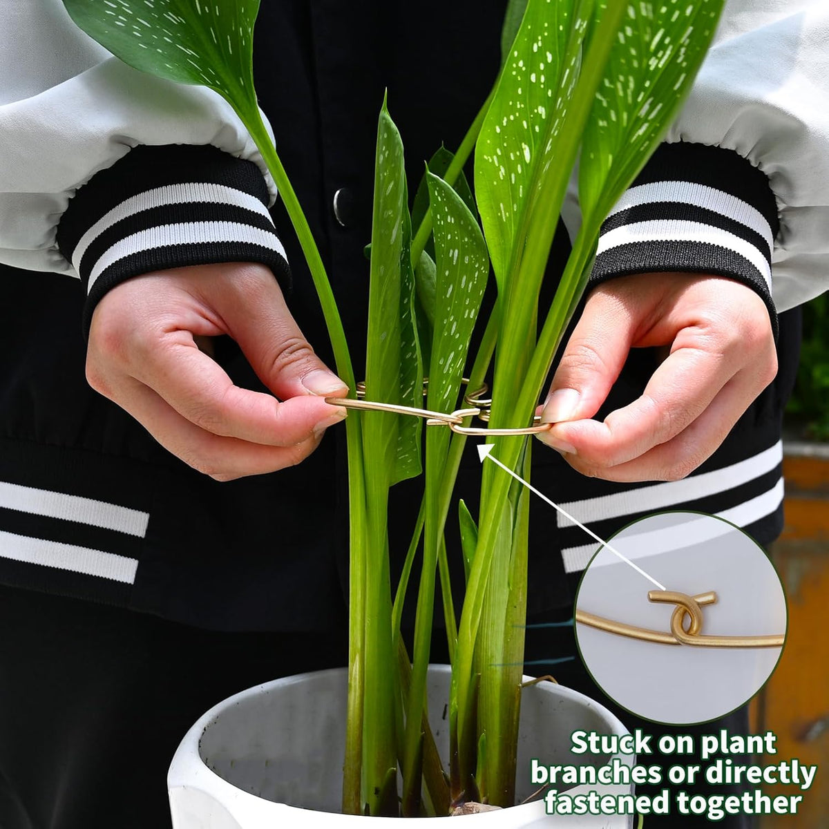 5Pcs Monstera Stem Support for Indoor Plants - 4.13 * 2.95 in- Durable Plant Support Stake Holder &