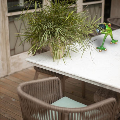 Outdoor Decor Garden Frog Gifts, Paparazzi Camera Decor, Resin Crafts for Shelves Table Desk