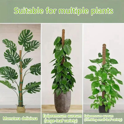 Moss Pole,63 Inch Monstera Plant Support, Upgraded 7mm Aluminum core Moss Poles for Climbing Indoor