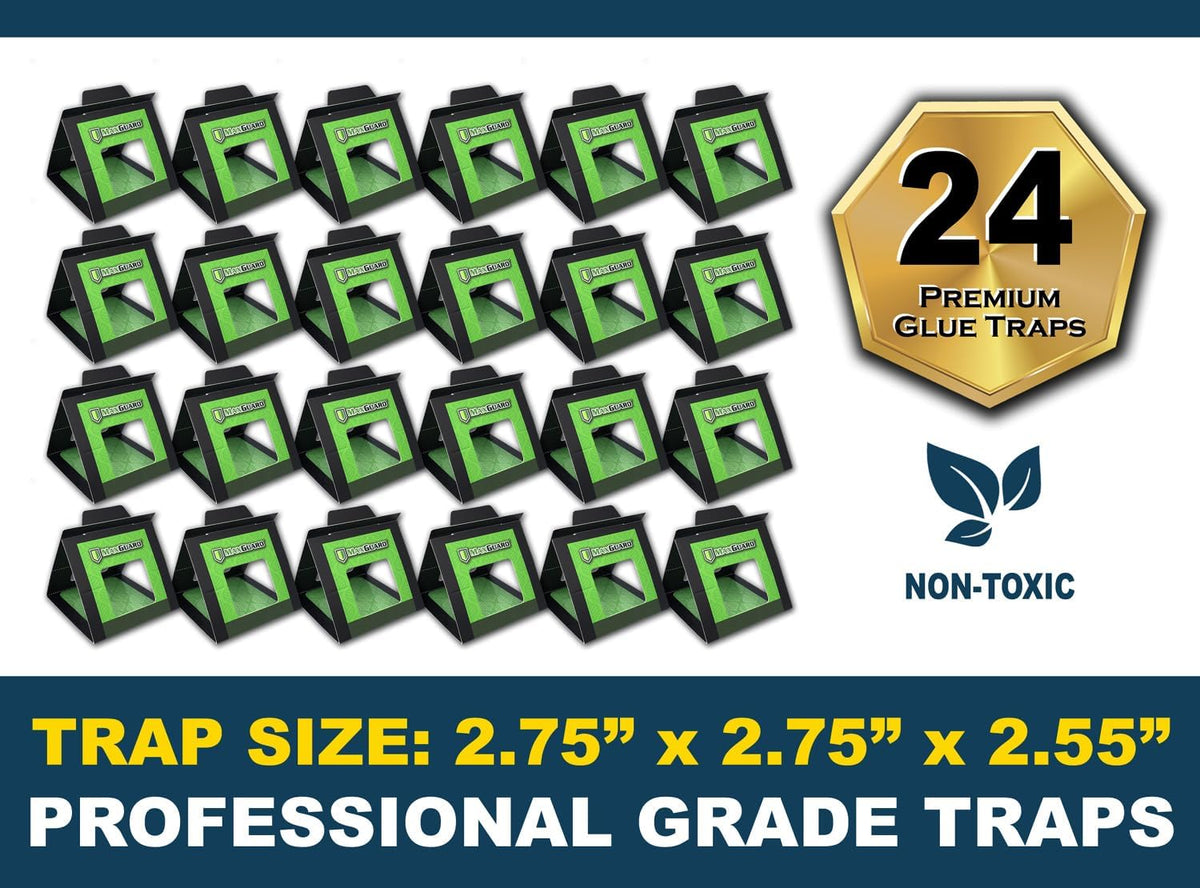 MaxGuard Bed Bug Traps (24 Traps) Non-Toxic Bed Bug Detection Traps. Detects, Traps, and Kills Bed