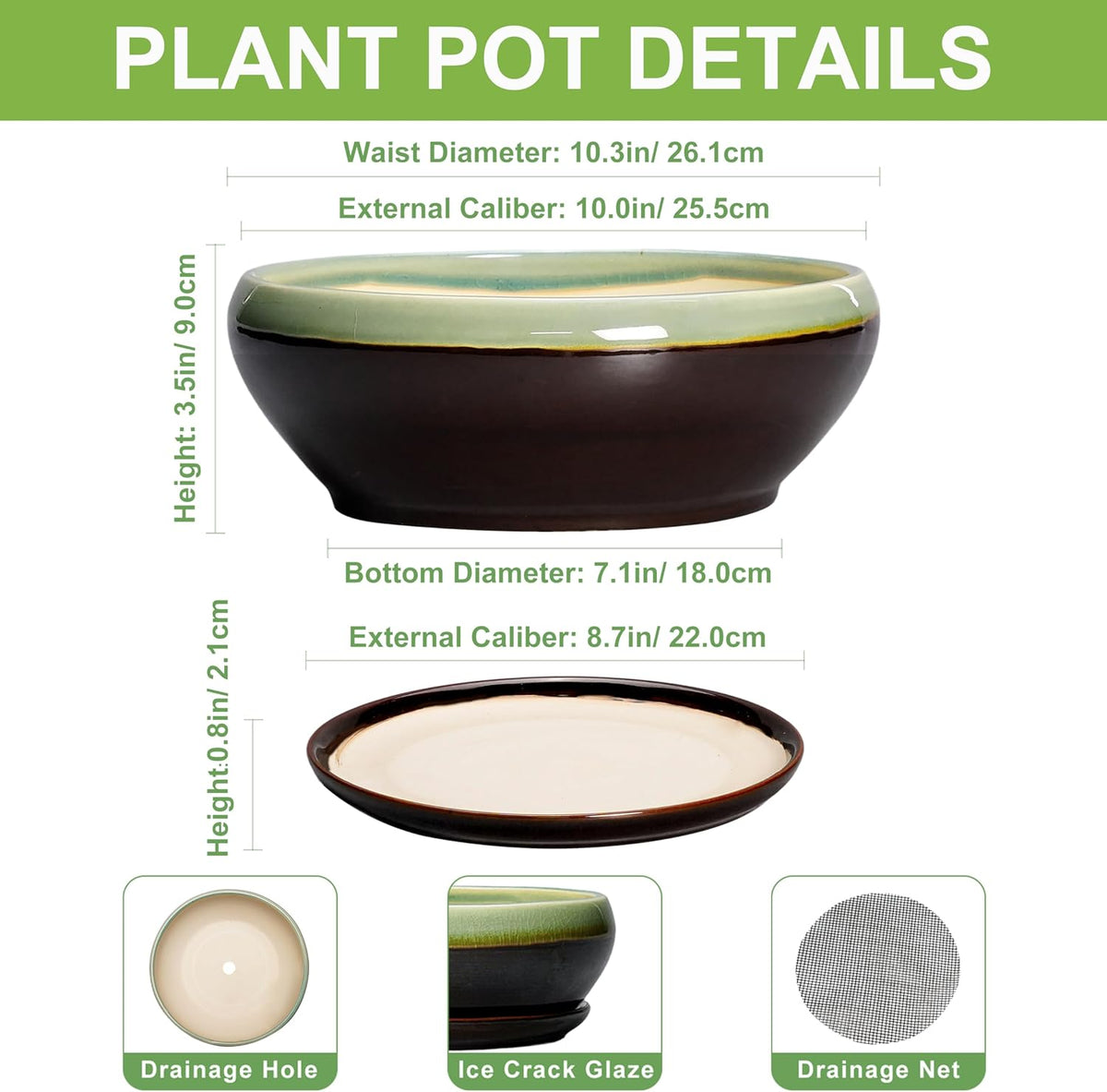 SQOWL Succulent Planters 10 Inch - Ceramic Bonsai Pots with Drainage Hole and Saucer, Shallow