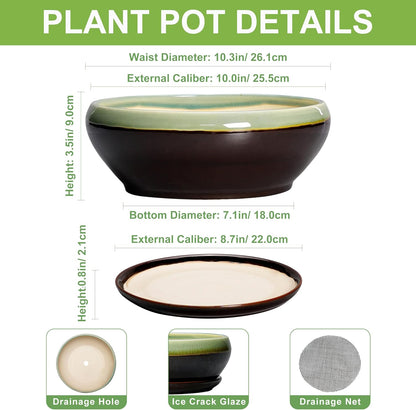 SQOWL Succulent Planters 10 Inch - Ceramic Bonsai Pots with Drainage Hole and Saucer, Shallow