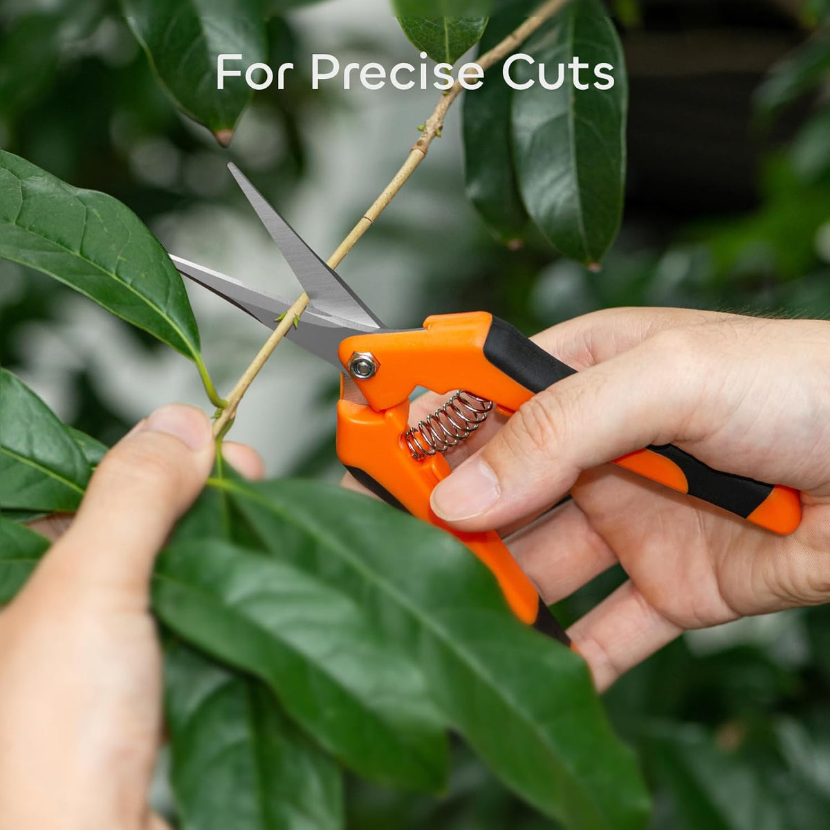 GROWNEER 6 Packs Pruning Shears Gardening Hand Pruning Snips with Straight Stainless Steel