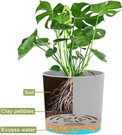 QCQHDU 5 inch Plant Pot, 2 Pack Planters for Indoor Plants with Drainage Holes & Saucer, Outdoor