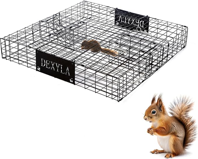 Squirrel Trap,Humane Catch and Release,Can Catch Multiple Squirrels or Chipmunks at Once