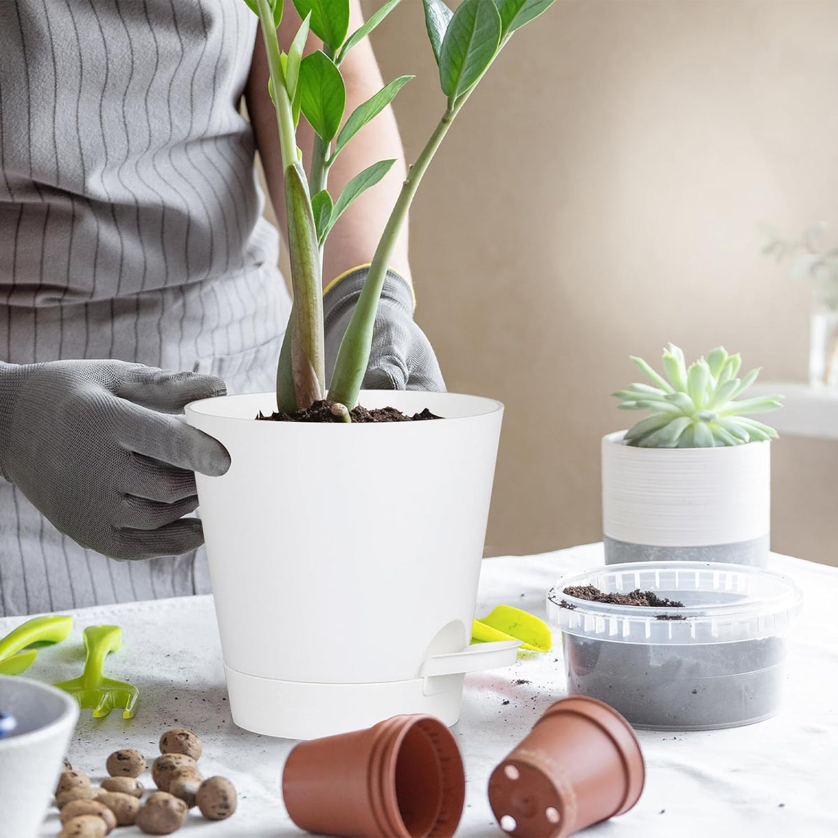5 Pack 5 inch Self-Watering Pots, African Violets Planter with Drainage Holes and Reservoir, White