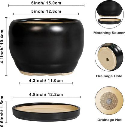 SQOWL Ceramic Plant Pot - 6 Inch Planter for Indoor Plants, Round Flower Pot with Drainage Hole and