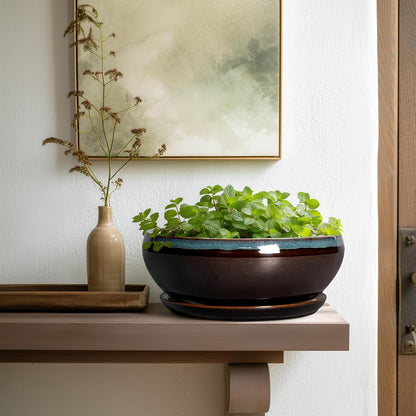 SQOWL Bonsai Tree Pots - 10 Inch Ceramic Succulent Pots with Drainage Hole and Saucer, Round
