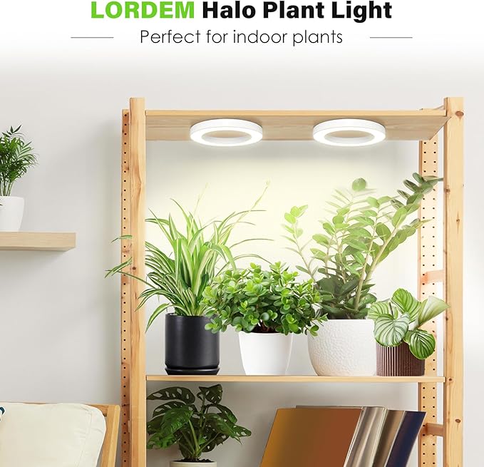 LORDEM 6.3” Ceiling Grow Light for Indoor Plants, 144 LEDs Full Spectrum Halo Grow Lamp, Under