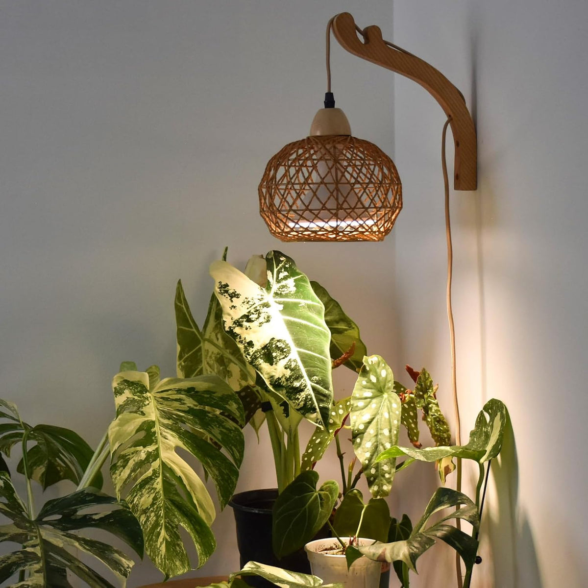 Bstrip Hanging Grow Lights for Indoor Plants, 18W Full Spectrum, Boho Rattan Lantern Shade, 3800K