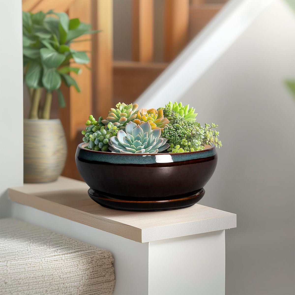 SQOWL Succulent Planters 8 Inch - Ceramic Bonsai Pots with Drainage Hole and Ceramic Saucer, Round
