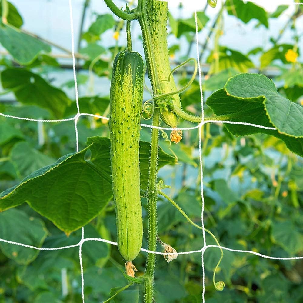 5x350ft Garden Trellis Netting - Heavy-Duty Polyester Outdoor Plant Support Netting for Climbing