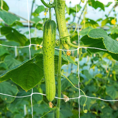 5x350ft Garden Trellis Netting - Heavy-Duty Polyester Outdoor Plant Support Netting for Climbing