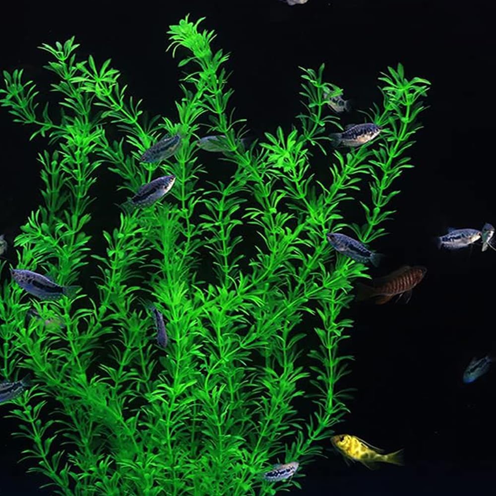 DSkoiph 2 pcs Aquarium Decor Plastic Plants Extra Large 21 Inches Artificial Fish Tank Plants Tall