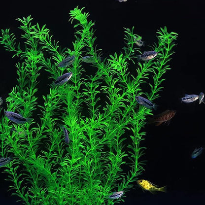 DSkoiph 2 pcs Aquarium Decor Plastic Plants Extra Large 21 Inches Artificial Fish Tank Plants Tall