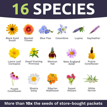 Perennial Wildflower Seeds Mixture - Bulk 1 Ounce Packet - Over 15,000 Pure Live Seed - Open