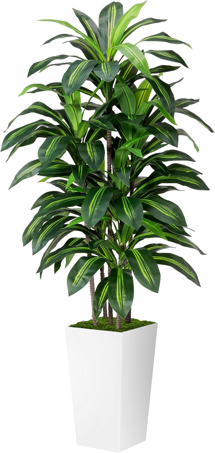 Artificial Dracaena Plant Indoor 5FT - Fake Tree with White Tall Planter - Faux Yucca Tall Fake