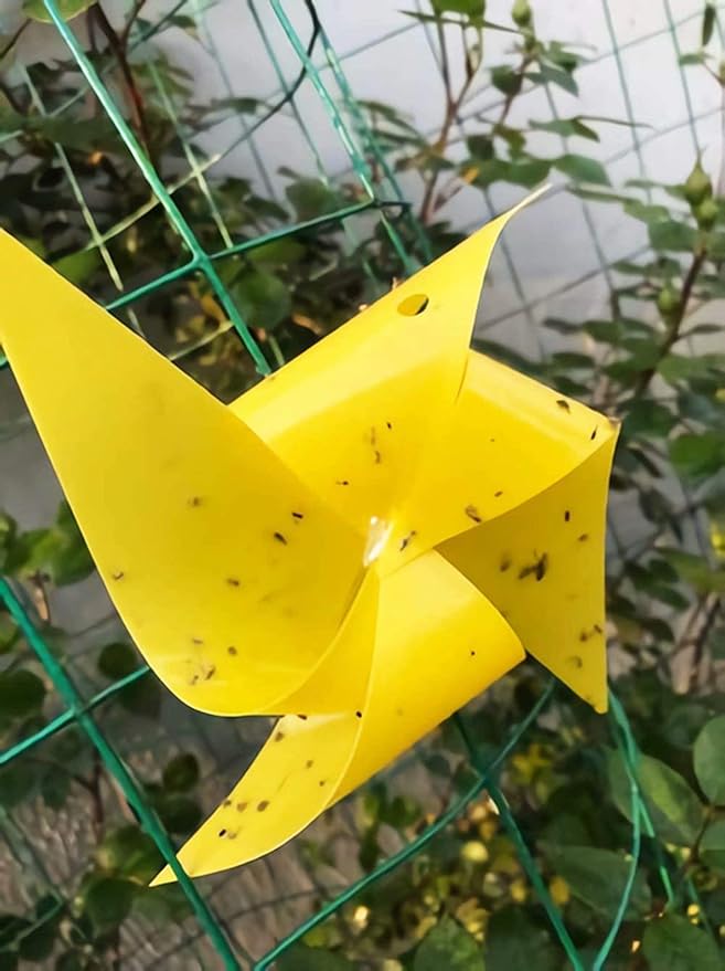 Faicuk 20 Pack Dual Sided Yellow Sticky Traps for Flying Plant Insect Like Fungus Gnats, Aphids