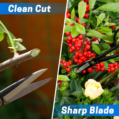 VISEMAN Japanese Bonsai Shears-Long Handle Gardening Scissors for Bonsai Trimming, Bonsai Scissors