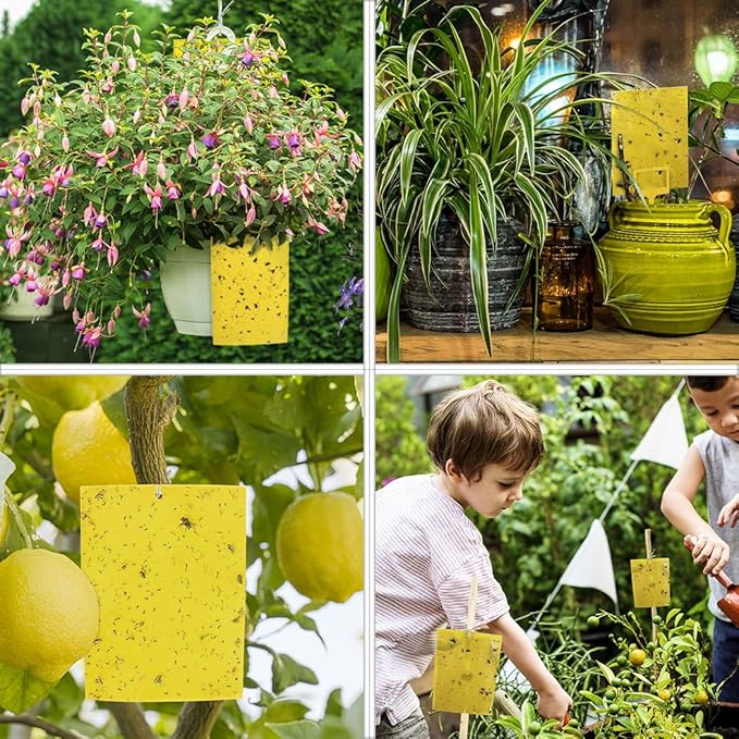Gideal 50-Pack Dual-Sided Yellow Sticky Traps for Flying Plant Insect Fungus Gnats Whiteflies