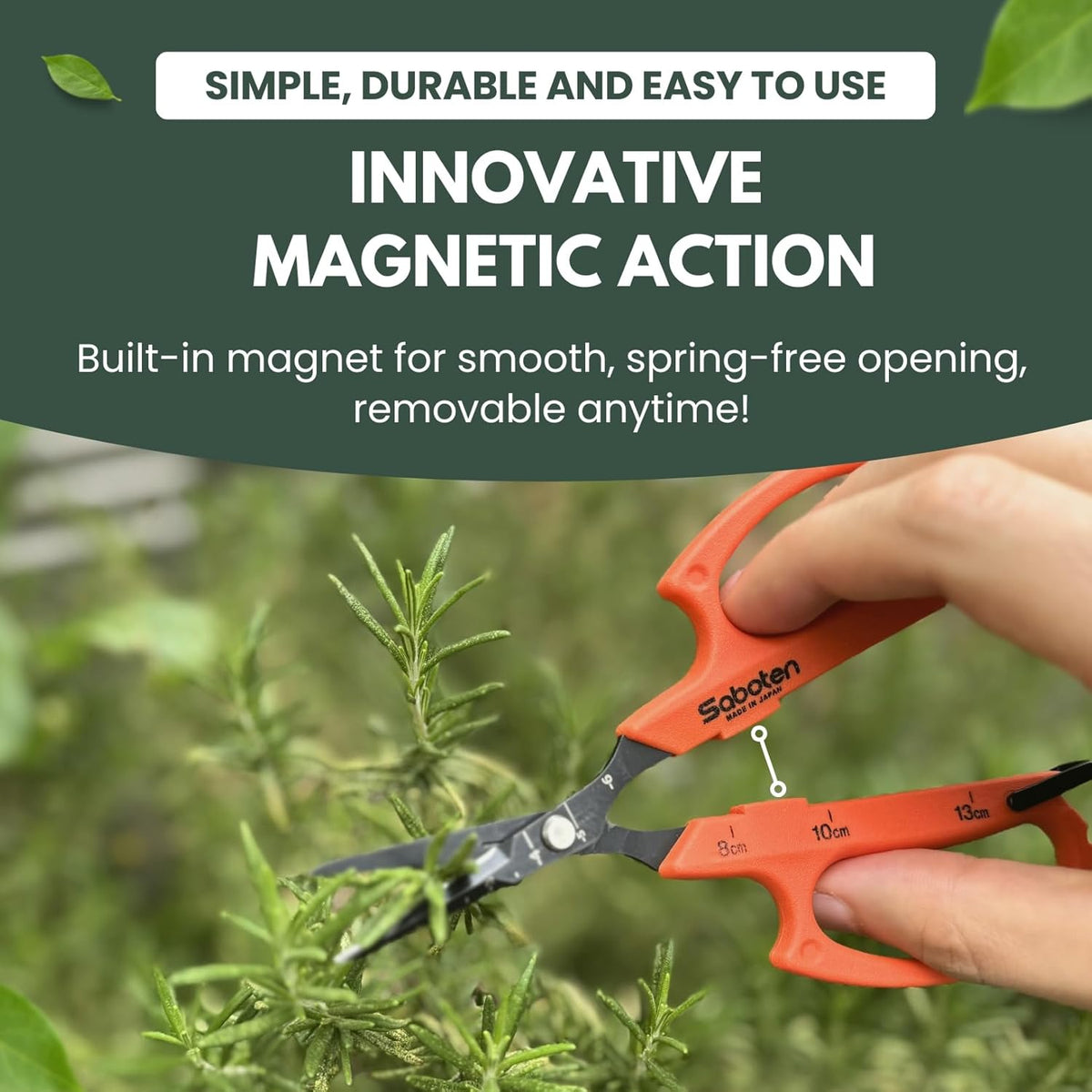Saboten Japan 6.3" Automatic Japanese Harvesting Shears - Fine-Tipped Angled Blade, Magnetic
