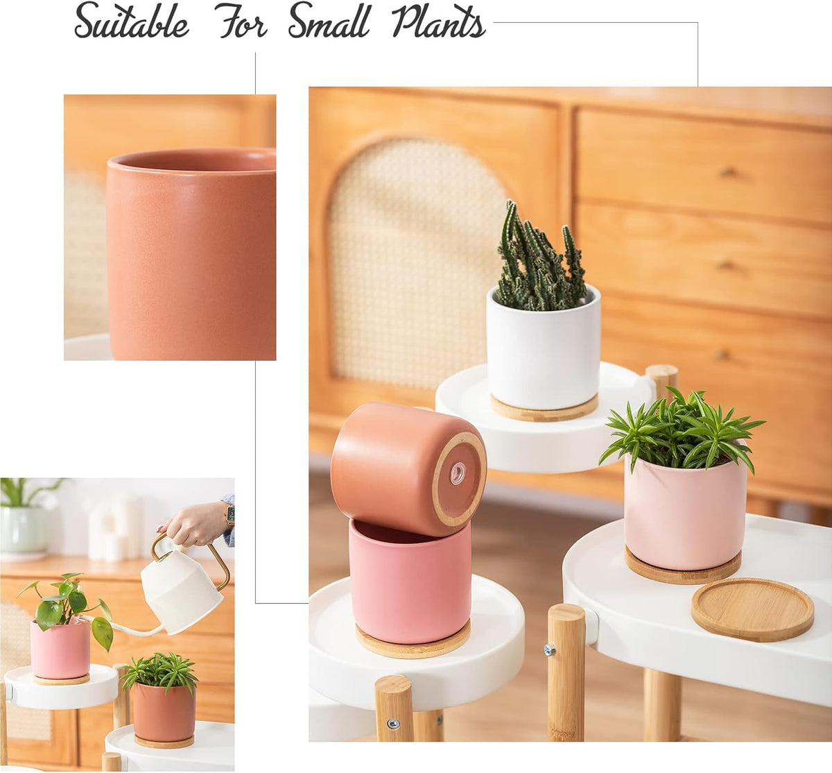 OMAYKEY 4 Inch Ceramic Plant Pot with Saucer, Multicolor Planters Pots with Drainage Hole and Mesh