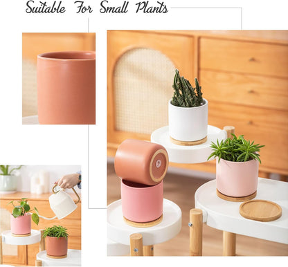 OMAYKEY 4 Inch Ceramic Plant Pot with Saucer, Multicolor Planters Pots with Drainage Hole and Mesh