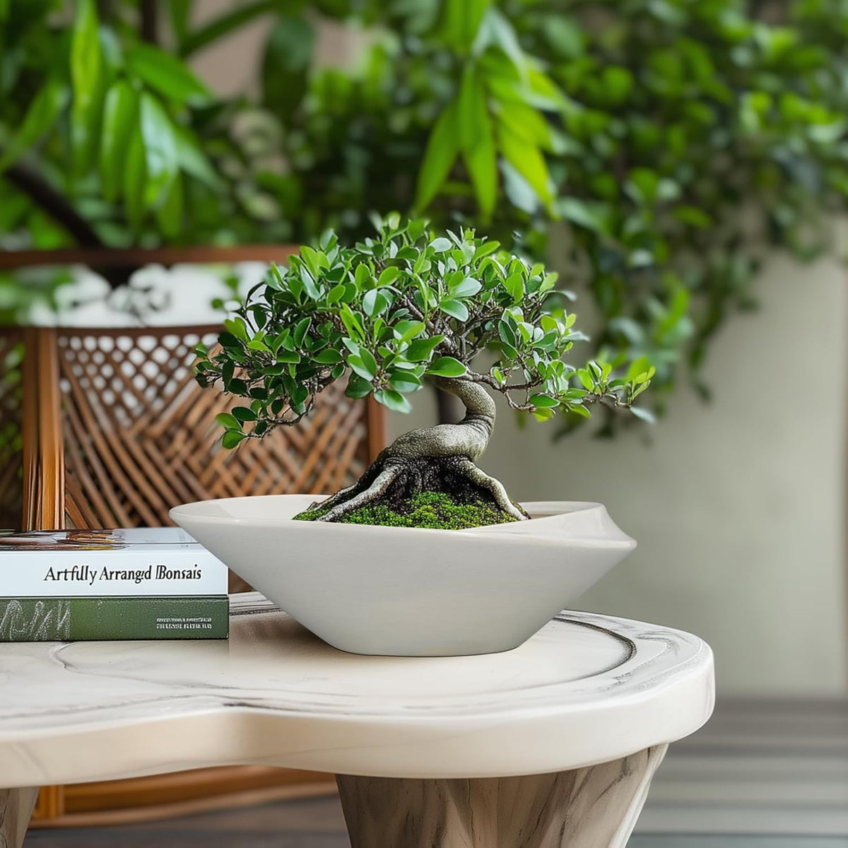 Bonsai Planter Pot - 12 Inch Ceramic Plant Pot for Indoor Plants Outdoor Decorative Flower Pot